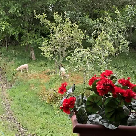 La Pandela * Las Herrerías