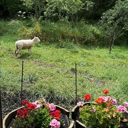 La Pandela Country house *