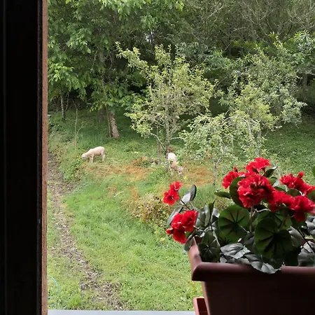 Casa di campagna La Pandela *