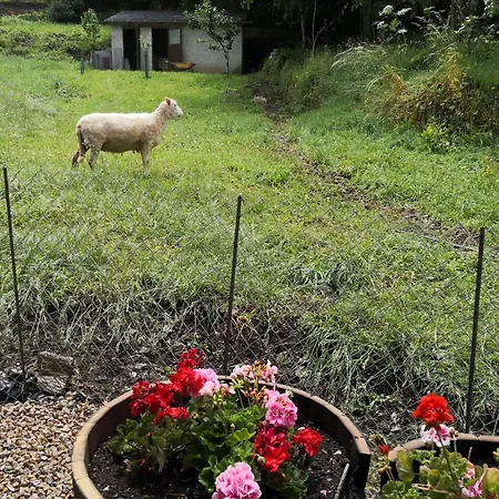 La Pandela Las Herrerías