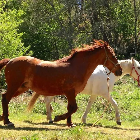 La Pandela Las Herrerías