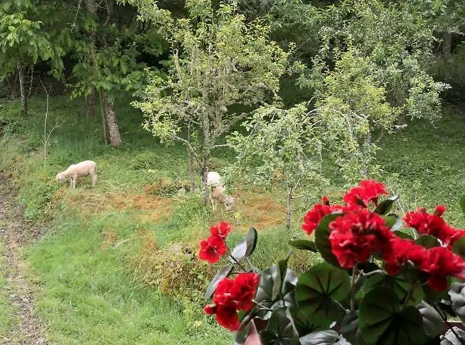 La Pandela * Las Herrerías