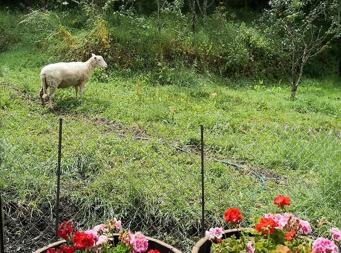 La Pandela Casa di campagna *