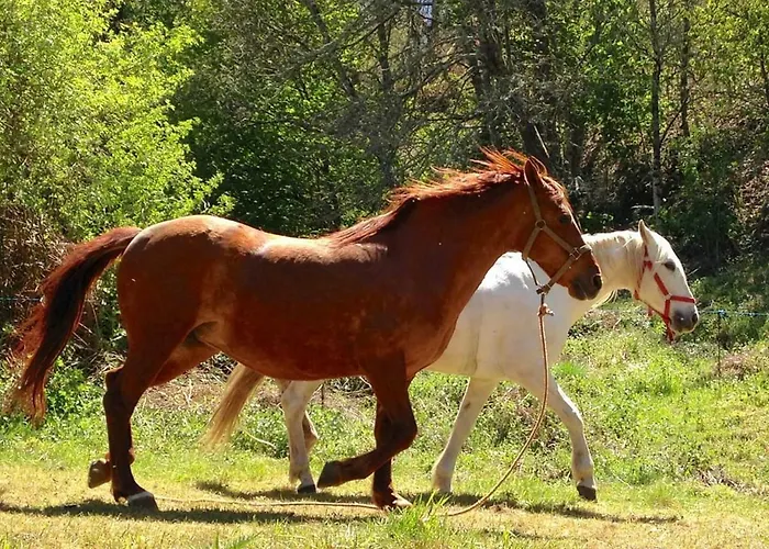 La Pandela Las Herrerías